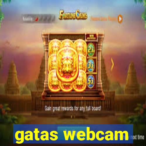 gatas webcam